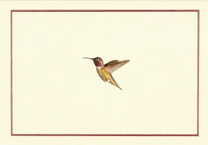 Hummingbird Flight Note Cards (Stationery, Boxed Cards)