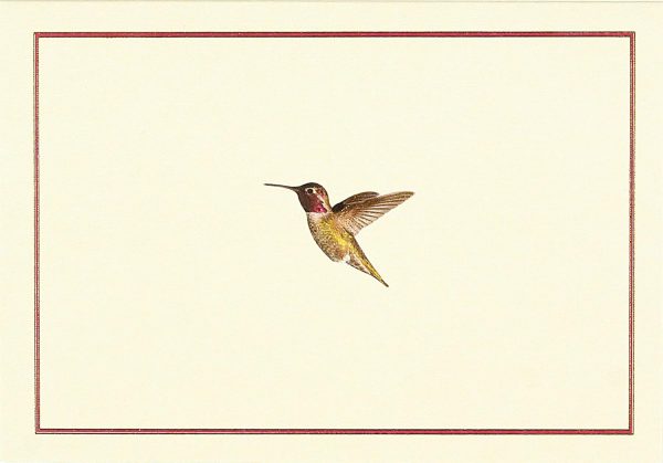 Hummingbird Flight Note Cards (Stationery, Boxed Cards)