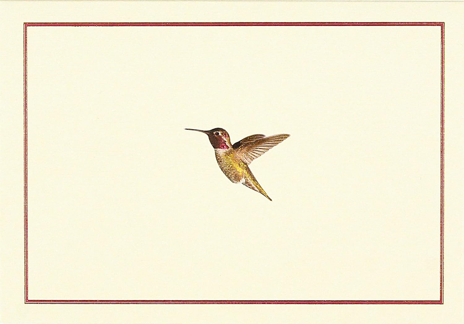 Hummingbird Flight Note Cards (Stationery, Boxed Cards)